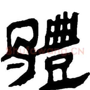 体