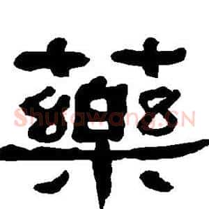 药