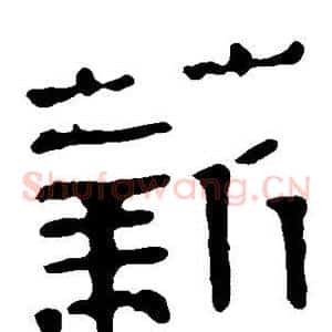 薪