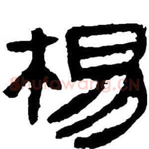 杨