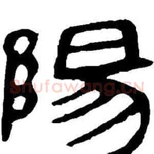 陽