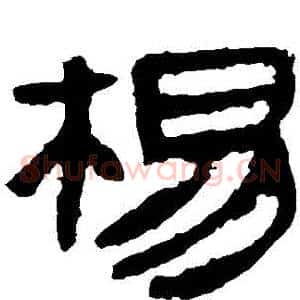 楊