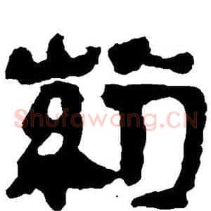 药
