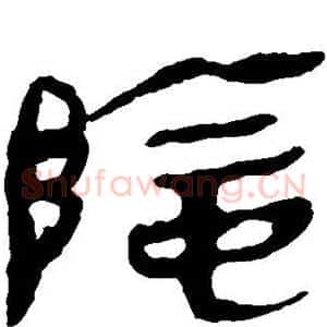 阴