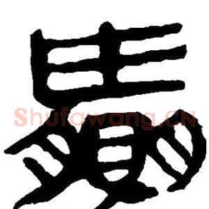 赢