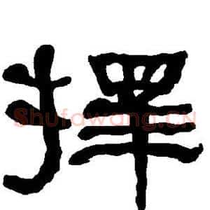 择