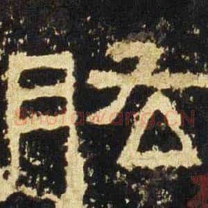 肱