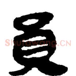 员