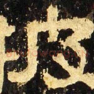 披