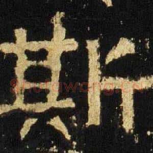 斯