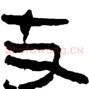 支
