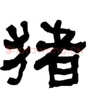 豬