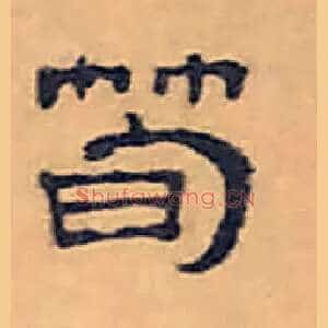 筍