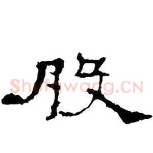 股