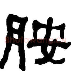 胺