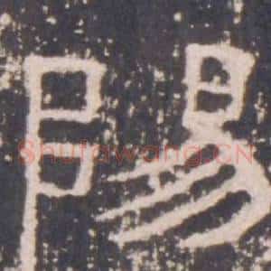陽