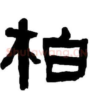 柏