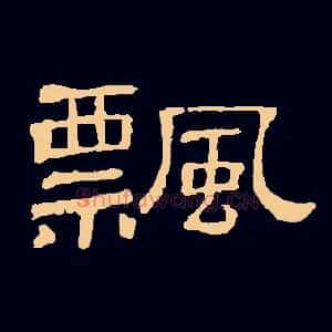 飘
