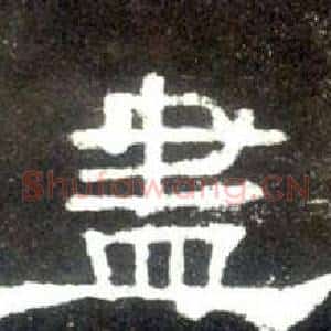盡