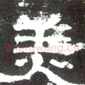 美