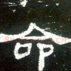 命