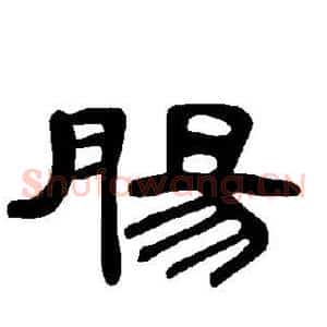 肠