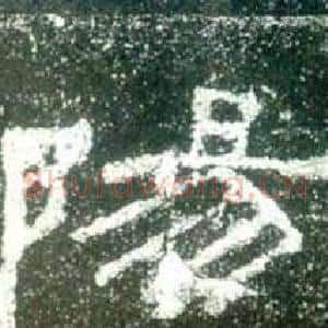 陽