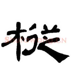 樅