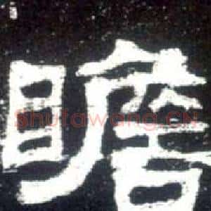 瞻