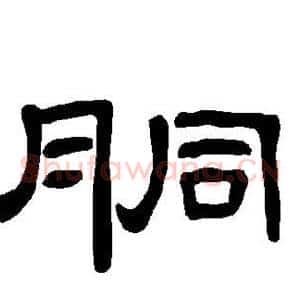 胴