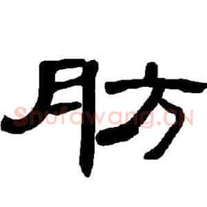 肪