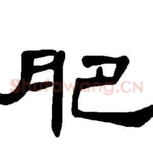 肥