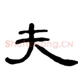 夫