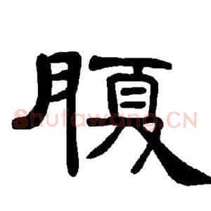 腹