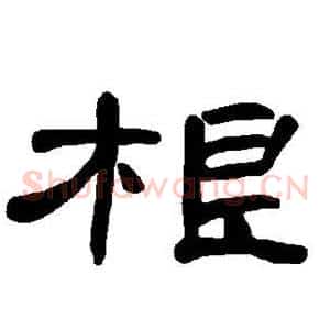 根