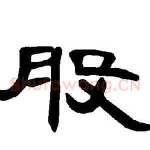 股