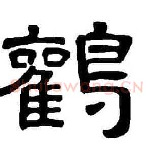 鸛