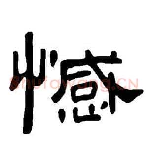 憾