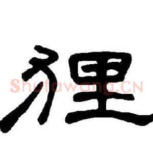 狸