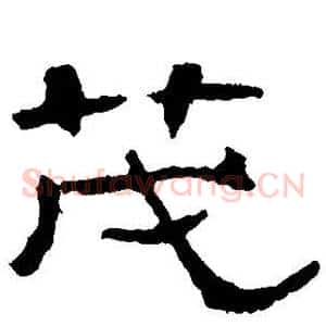 茂