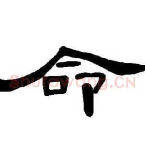 命