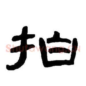 拍