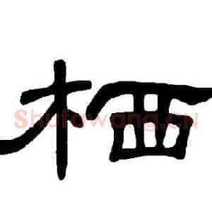 棲