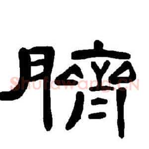 脐