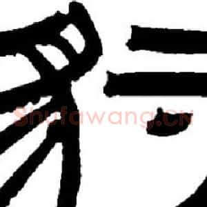 豹