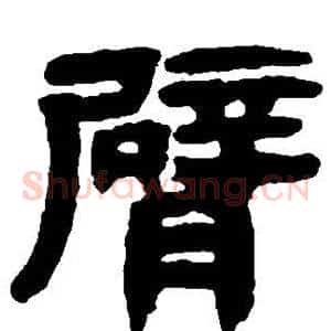 臂