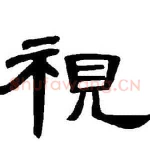 視