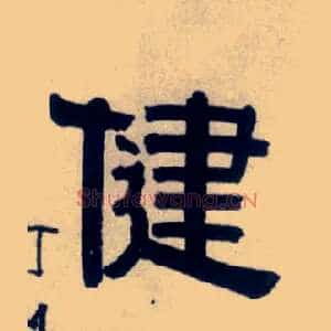 健