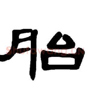 胎