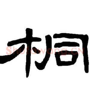 桐